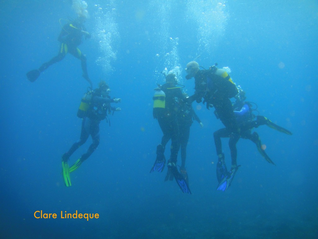 Our group ascending at the end of the dive