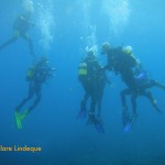 Our group ascending at the end of the dive