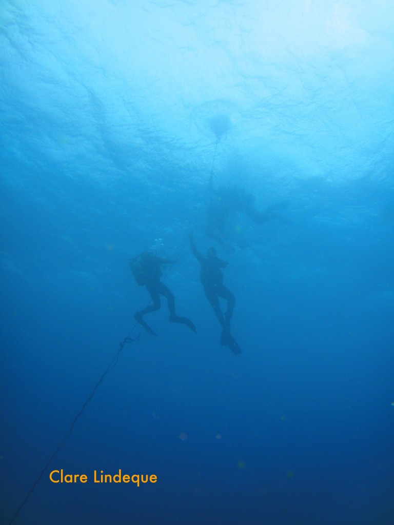 Divers descending