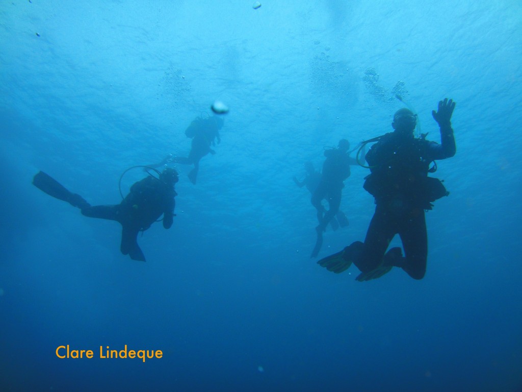 Divers descending onto the reef