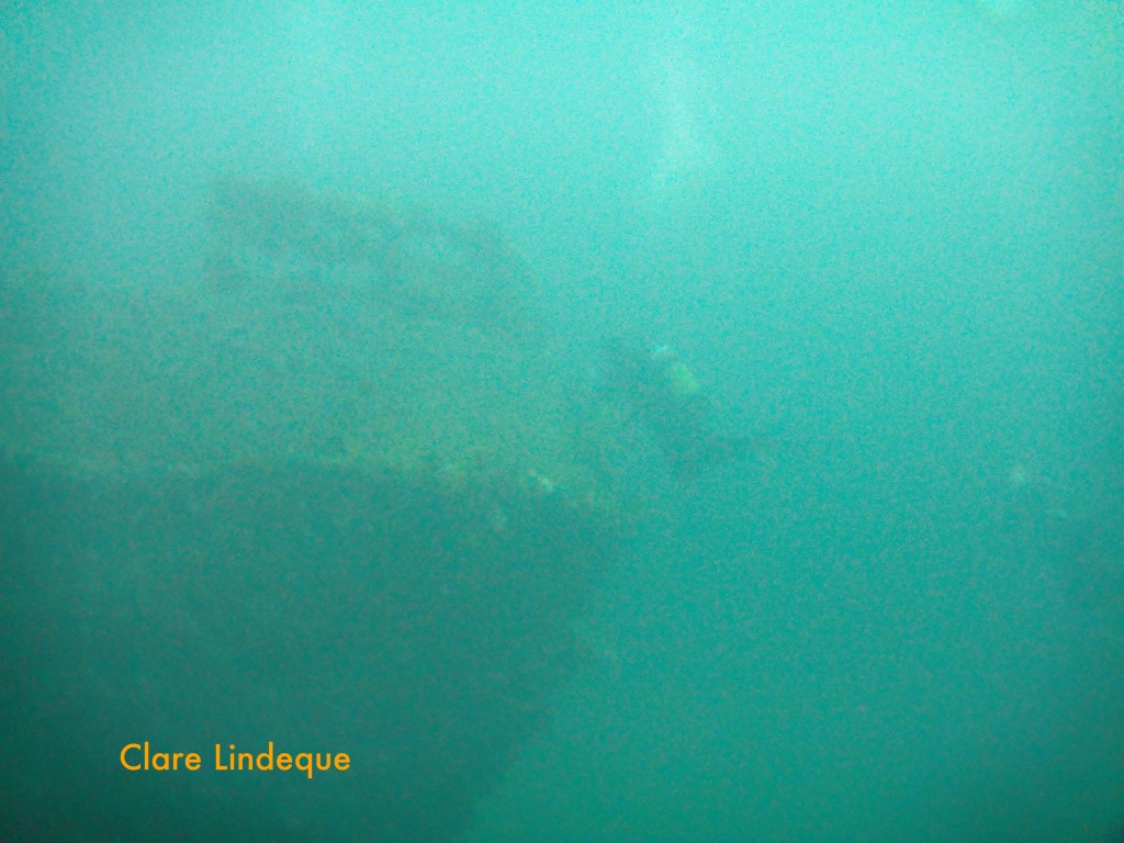 The stern of the MFV Princess Elizabeth