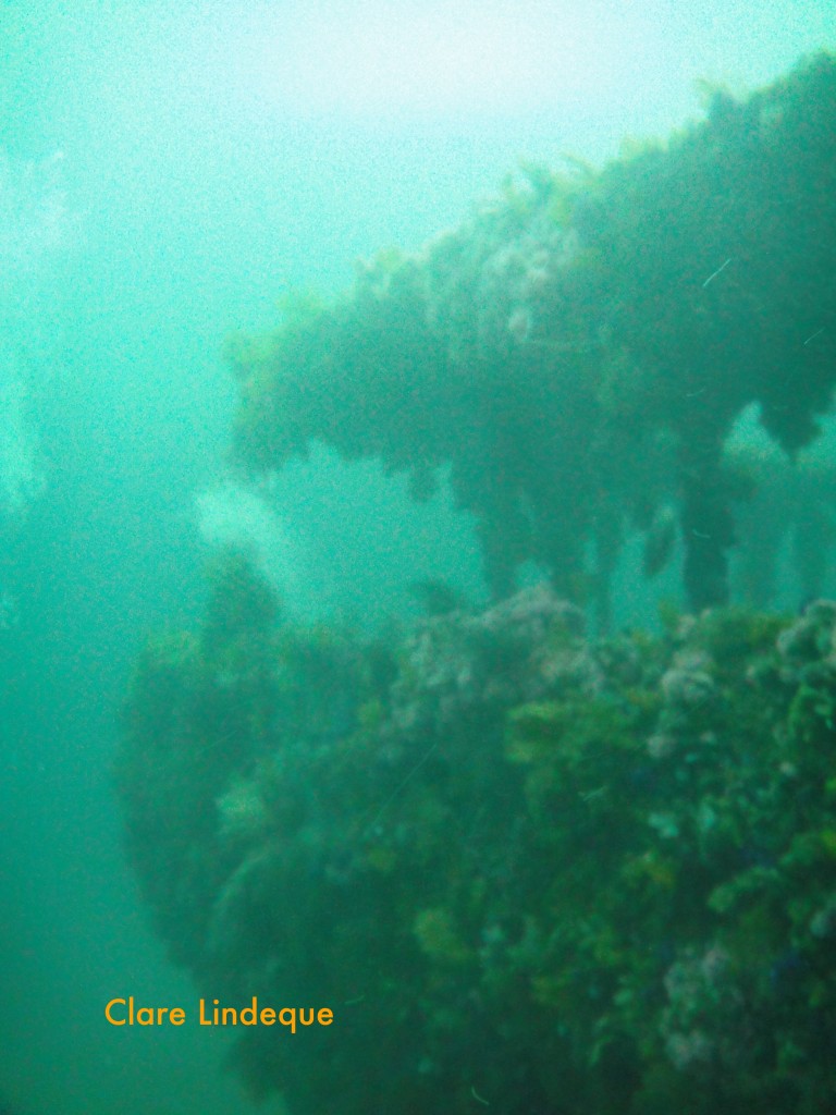 Rounding the stern of the SAS Good Hope