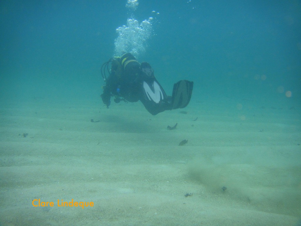 Tony swimming across the sand patch