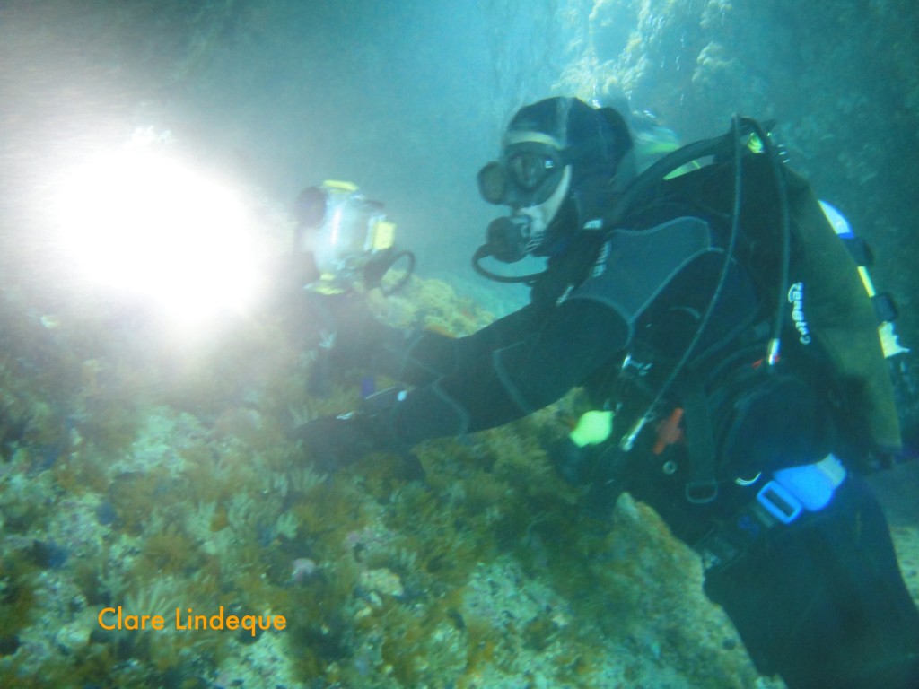 Tony inside the swim through with his camera and video light