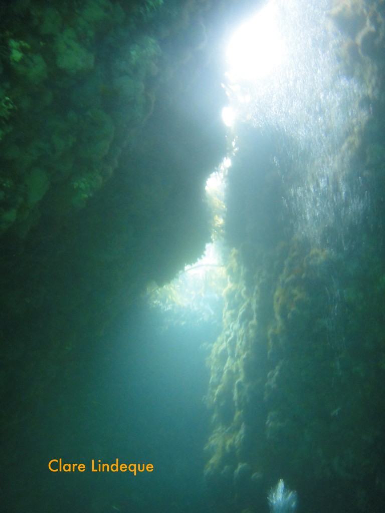 Air escapes through this gap at the top of the swim through