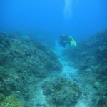 Swimming along a gully