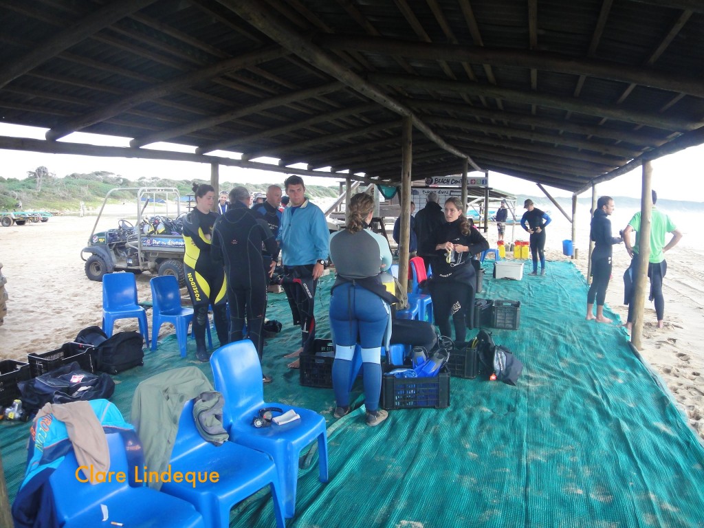 Under the gazebo on the beach before the dive