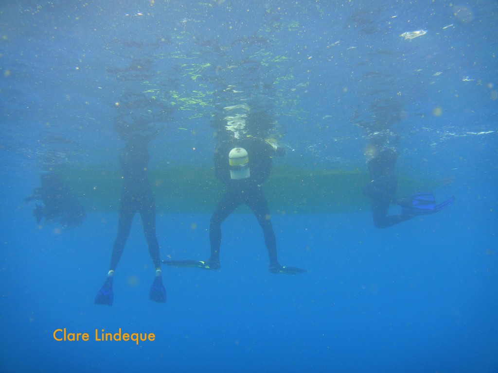 Divers cluster around the boat