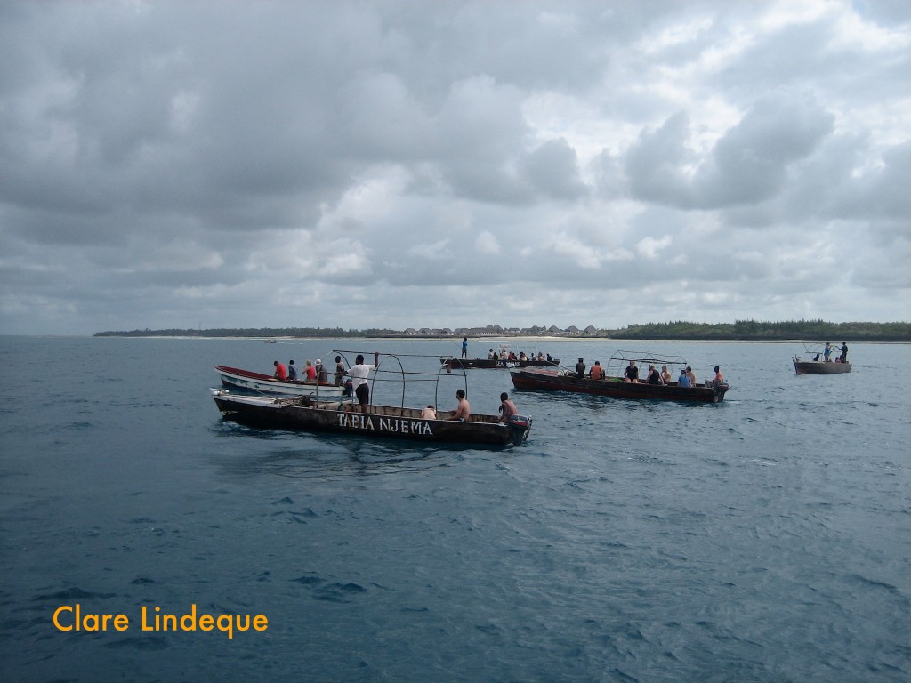 Dolphin boats off Kizimkazi, Zanzibar