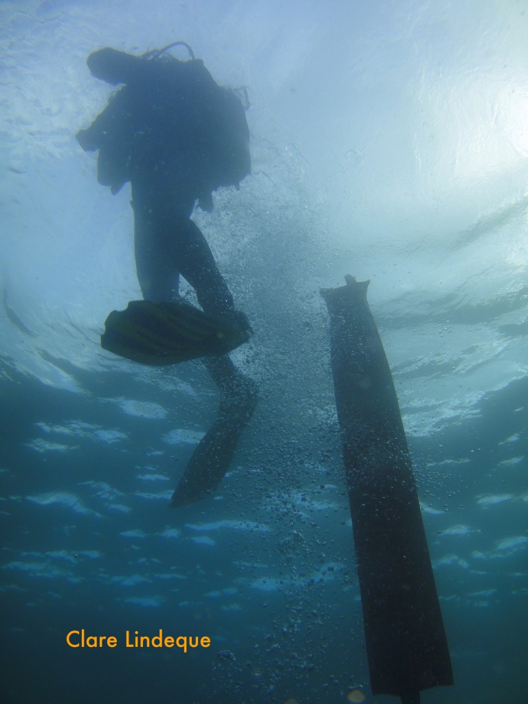 Diver ascending past an SMB