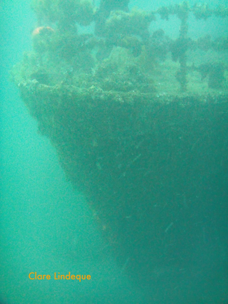 The bow of the MV Aster