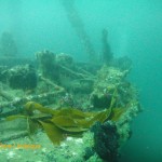 Wreckage near the bow of the Aster