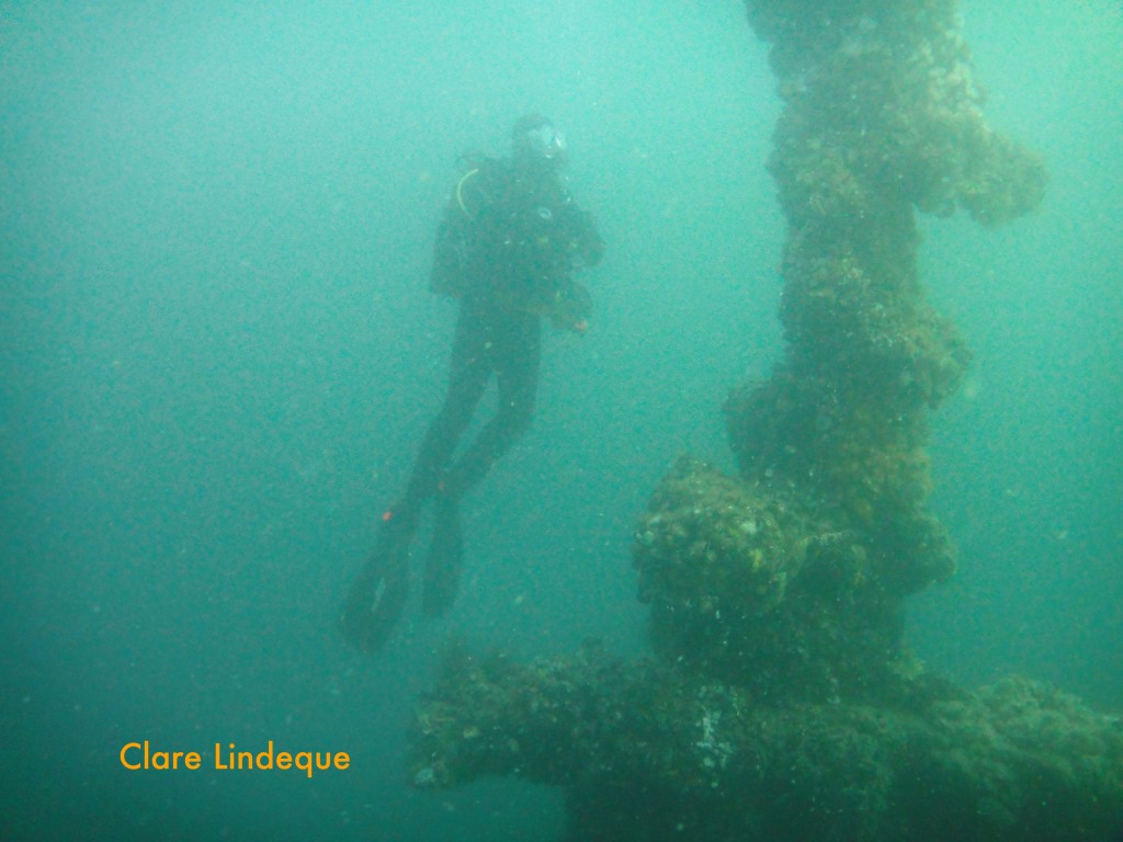 Cecil ascending next to the mast of the Aster