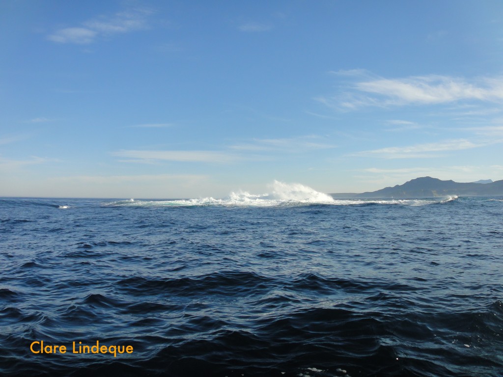 Waves breaking over Bellows Rock