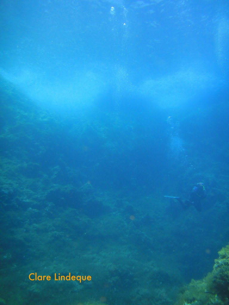 A distant diver on the reef