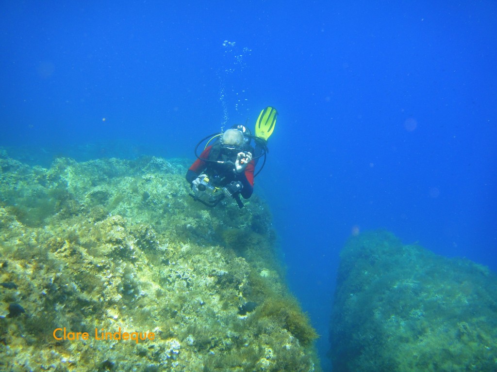 Tony swims by a crack in the limestone reef