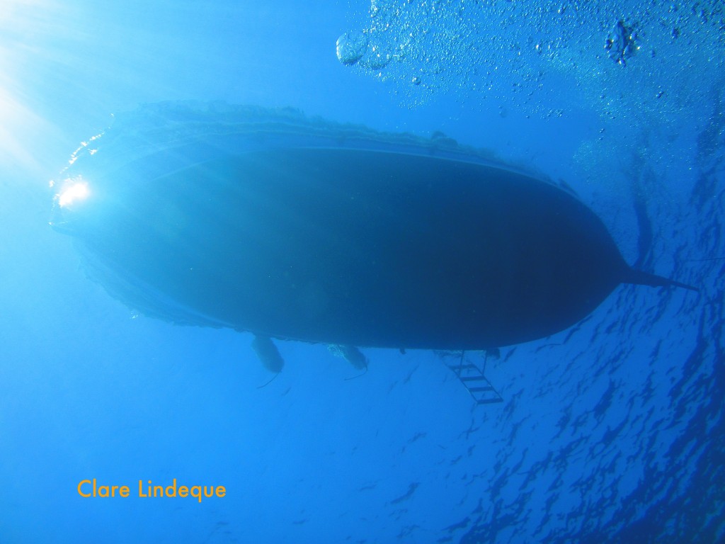 Dive boat from 10 metres below