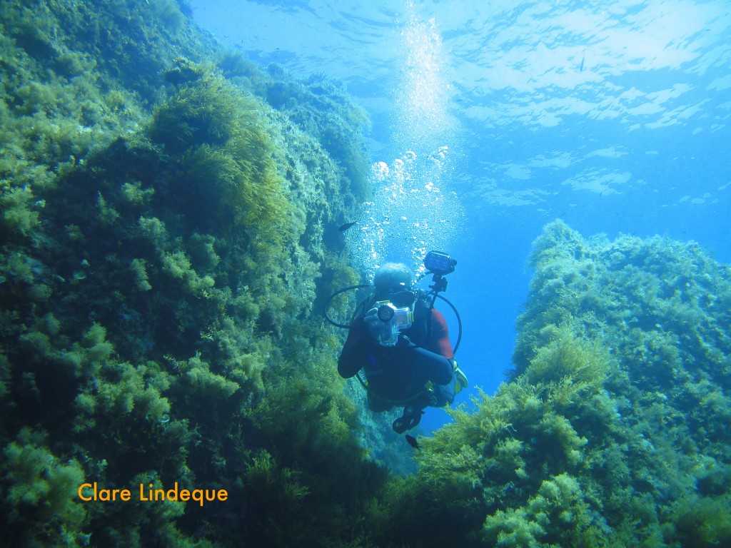 Tony swims through a gully