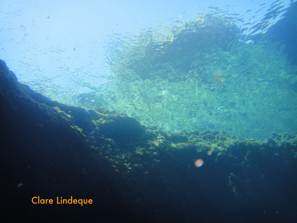 Surface of the Blue Hole, from below