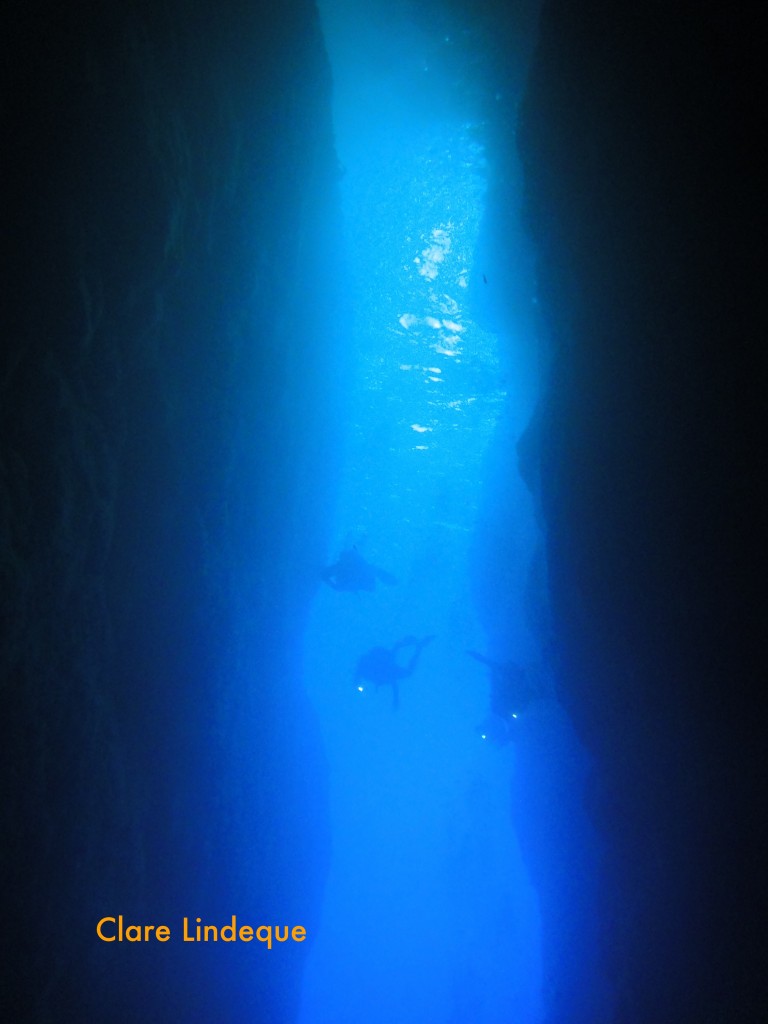 Divers heading out to sea