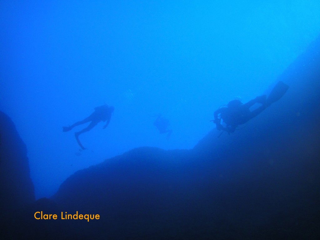 We emerge from the tunnel into the ocean