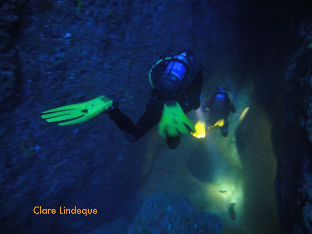 Swimming out of the tunnel