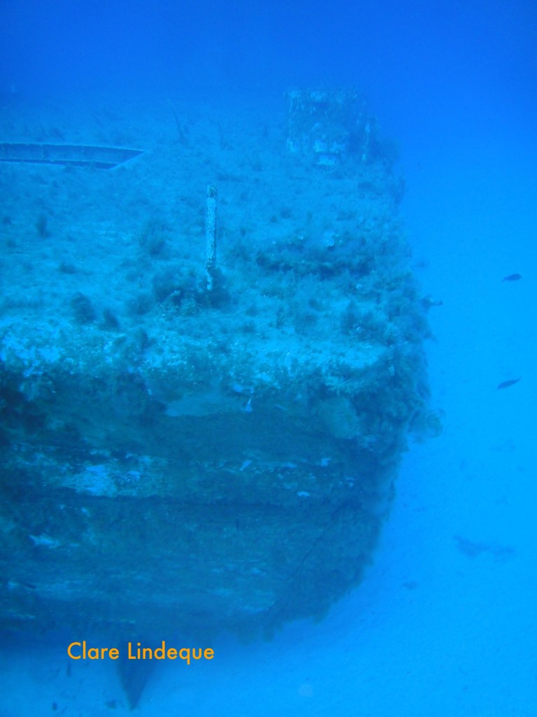 The stern of the P29