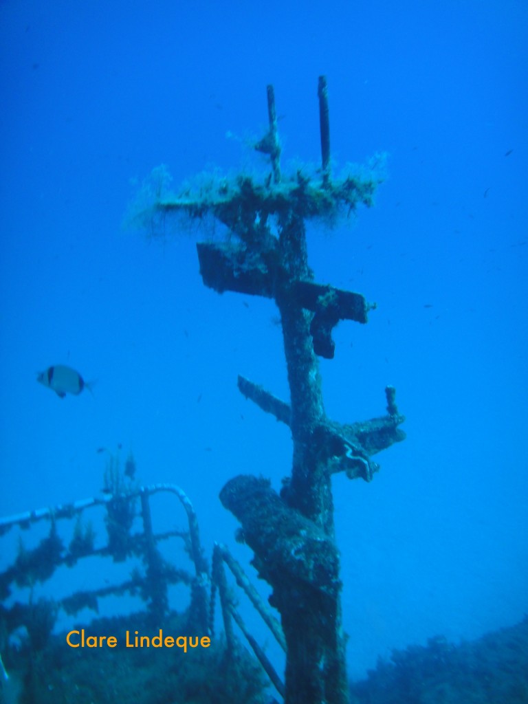 A mast rising next to the bridge