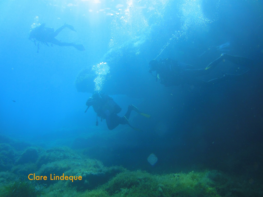 Divers swimming off the reef towards the P29