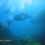 Divers swimming off the reef towards the P29