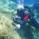 Tony interacting with a rainbow wrasse