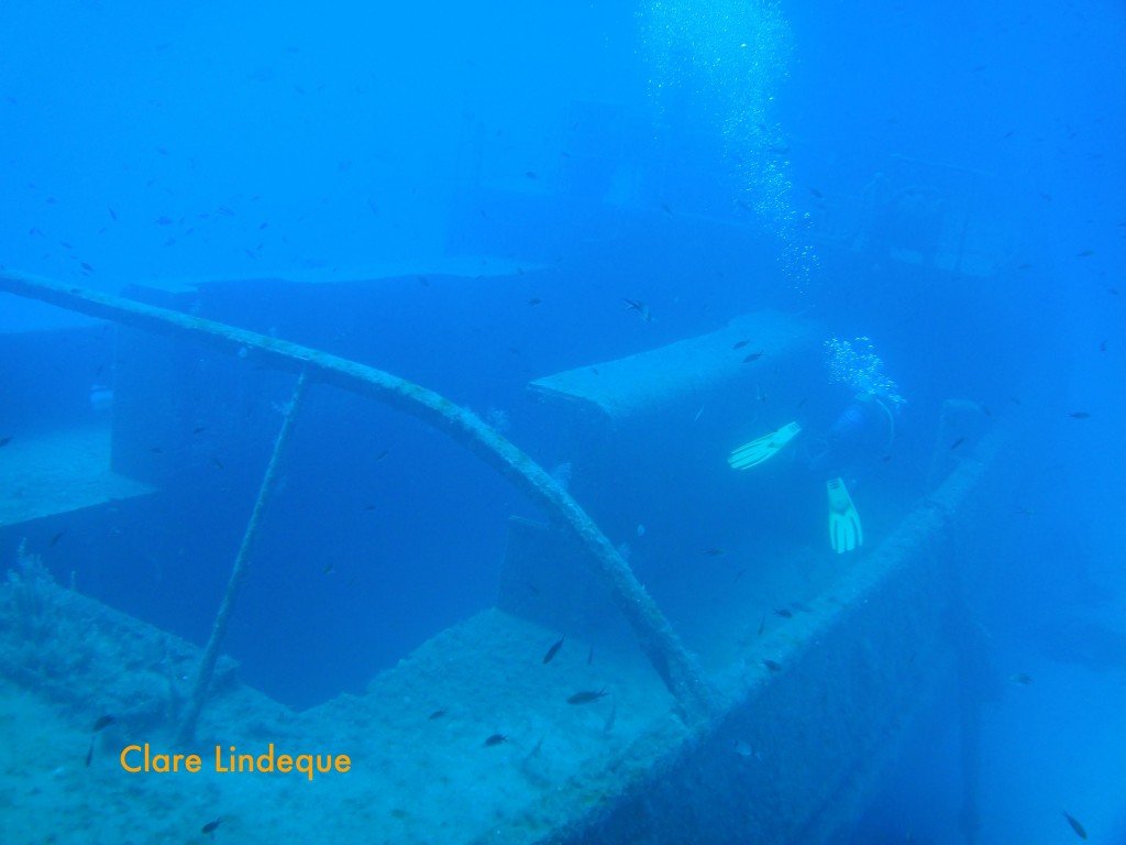 Tony swims away from the stern