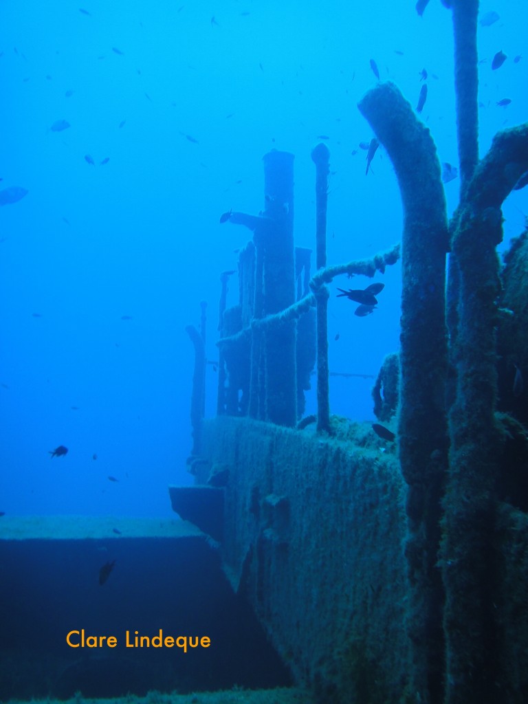 Near the stern you can drop inside the wreck (big thermocline!) - to the left in this photo