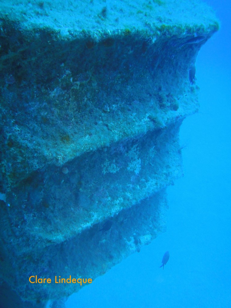 Close up of the bumper on the bow of the Rozi