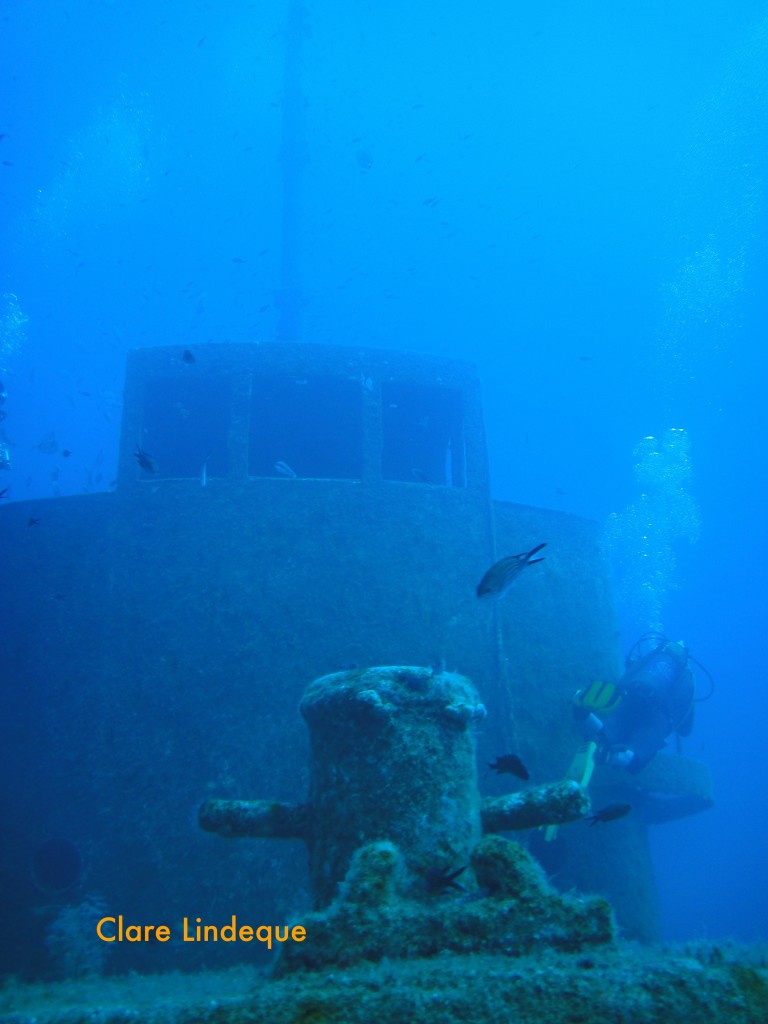 View from the bow of the Rozi