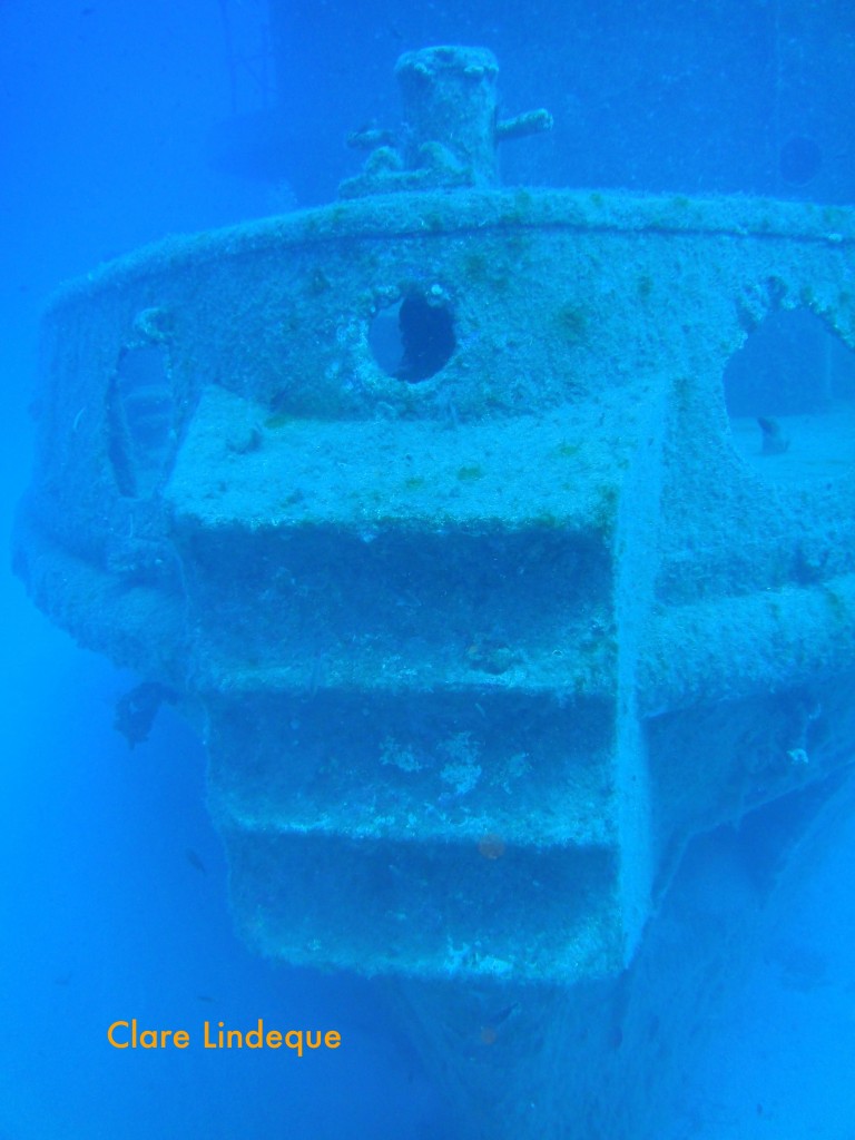 Bow of the Rozi showing her bumper