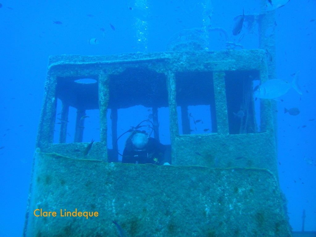 A fish watches Tony in the wheelhouse