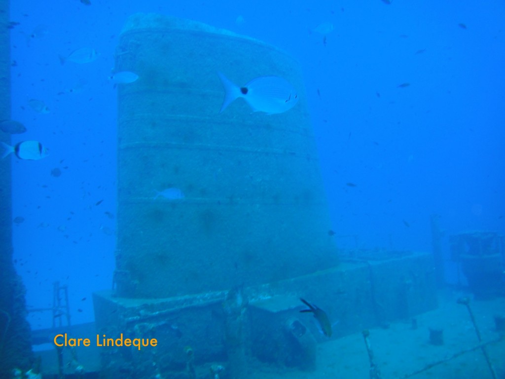 Bream and damselfish pass in front of the funnel of the Rozi