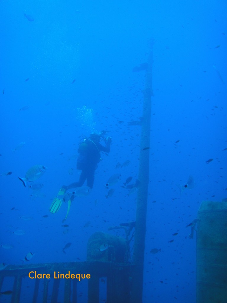 Tony checking out the mast of the Rozi