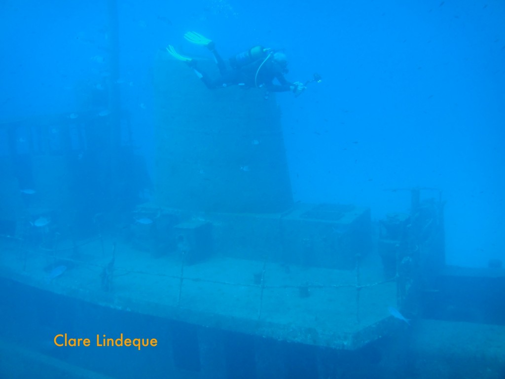 Funnel, base of the mast and bridge of the Rozi