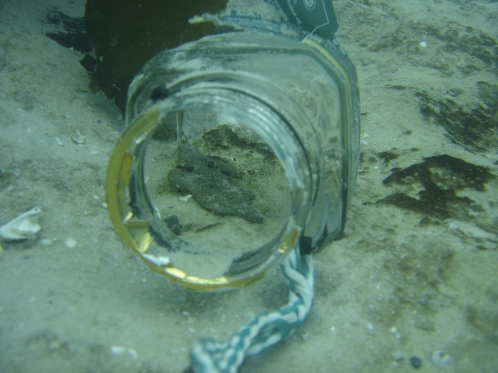 Coffee jar freshly situated in the water