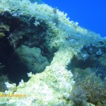 On the left is a swim-through under an arch in the reef