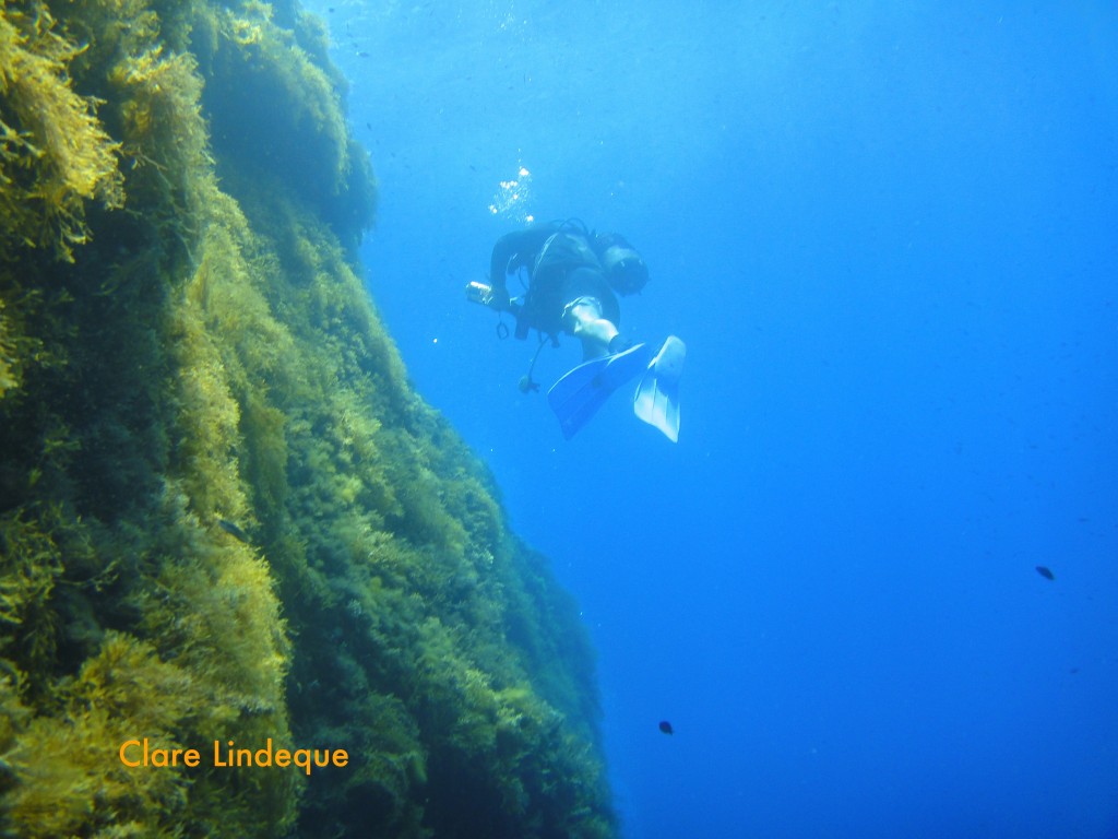 Divemaster Publio swims back to the entry/exit along the wall at Cirkewwa