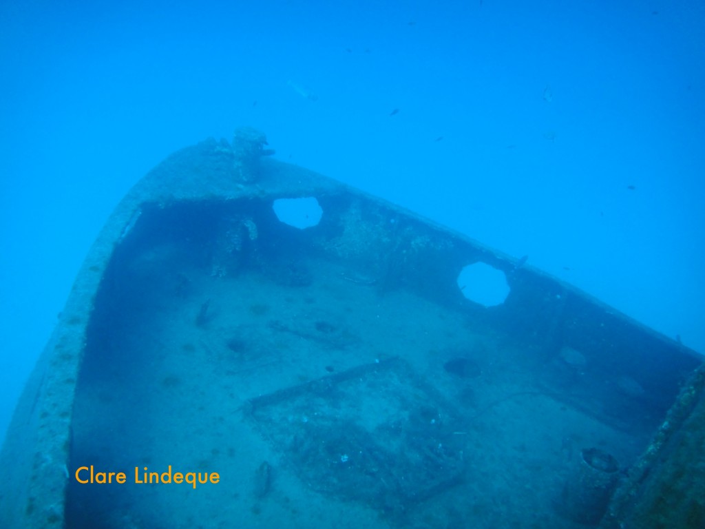 The bow of the Rozi from above