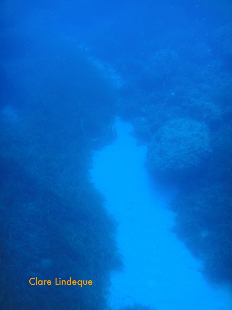 This sand spit is the indication to turn offshore when navigating to the wreck