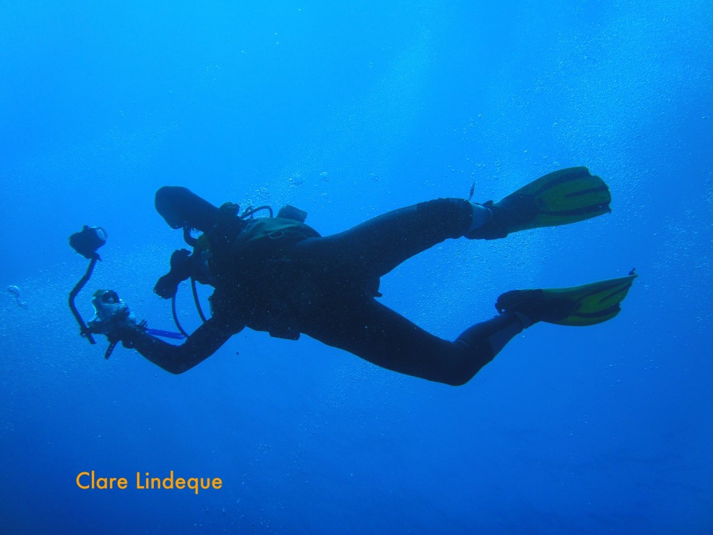 Swimming off towards the wreck