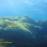 Shallow limestone reef outside Susie's Pool