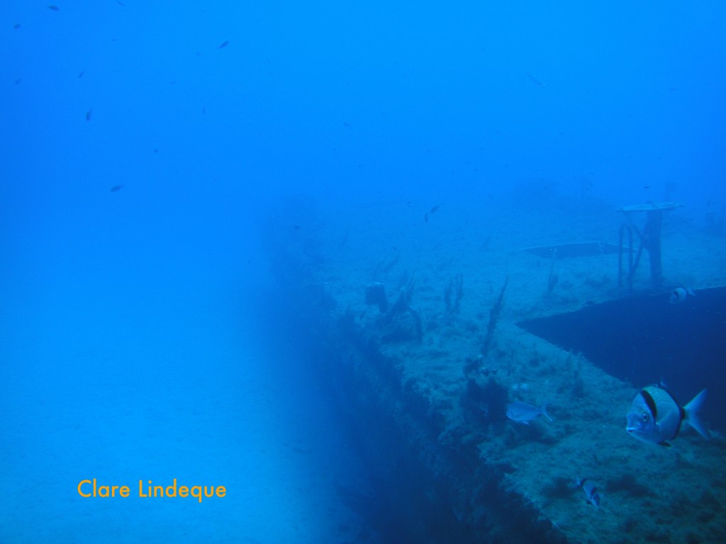 The stern of the P29