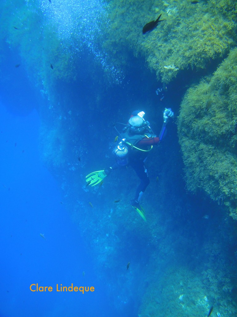 Investigating a crack in the limestone