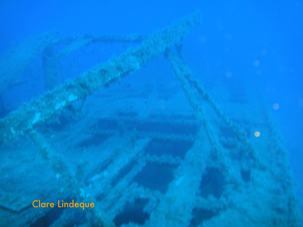 Remains of deck structures and railings